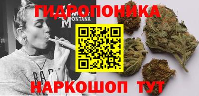 марихуана Новозыбков