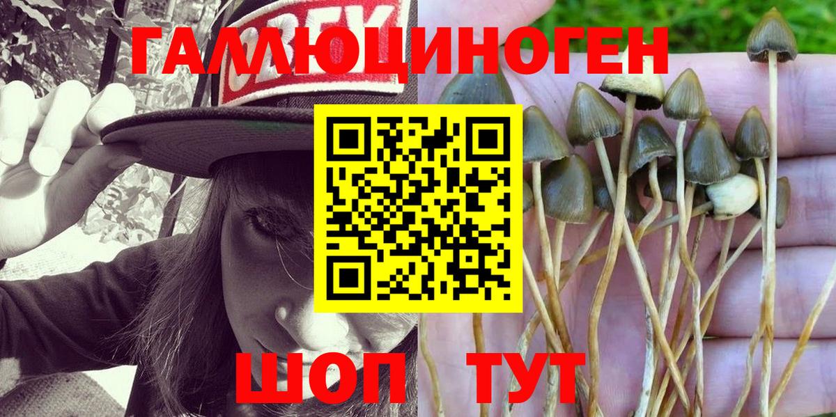 Галлюциногенные грибы Magic Shrooms Чехов