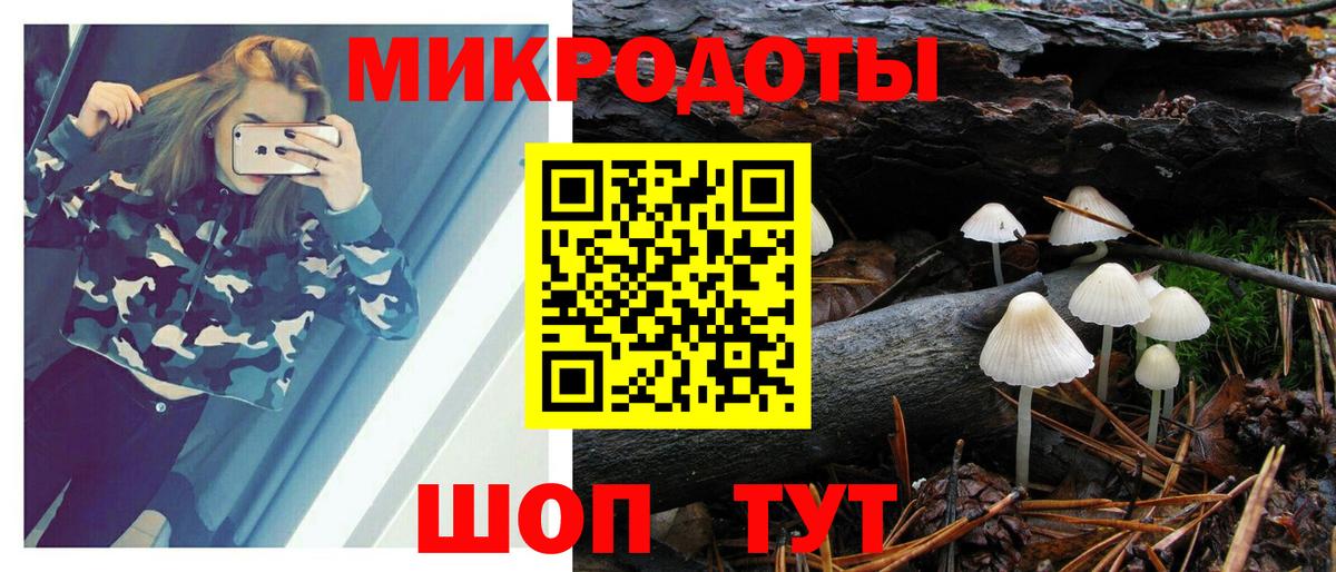 Чехов  Галлюциногенные грибы прущие грибы  Вход с VPN 